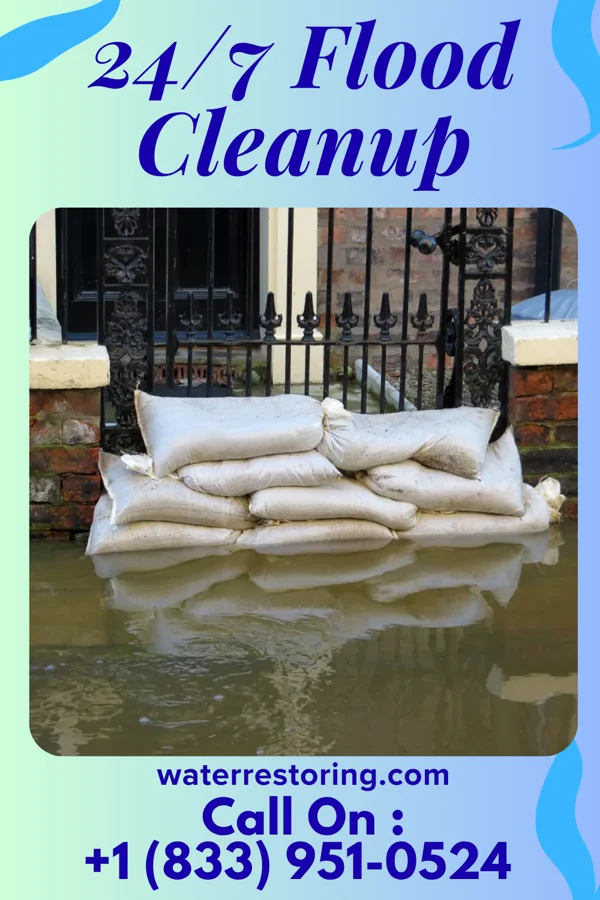 24/7 Flood Cleanup in Leisure Village West, NJ