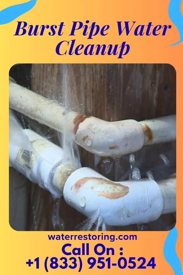 Burst Pipe Water Cleanup in Leisure Village West, NJ