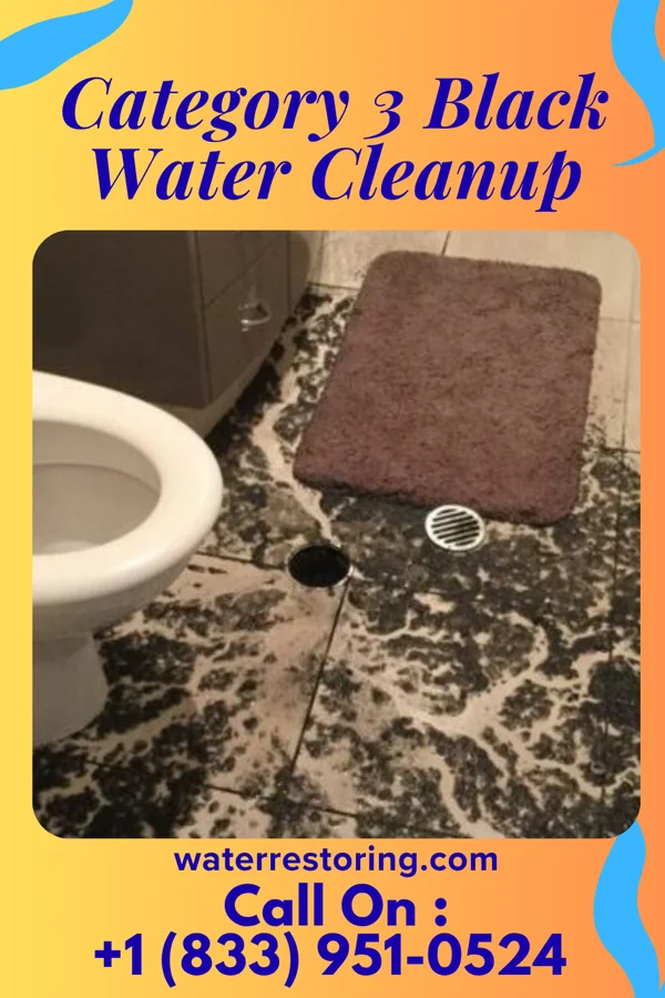 Category 3 Black Water Cleanup in Leisure Village West, NJ