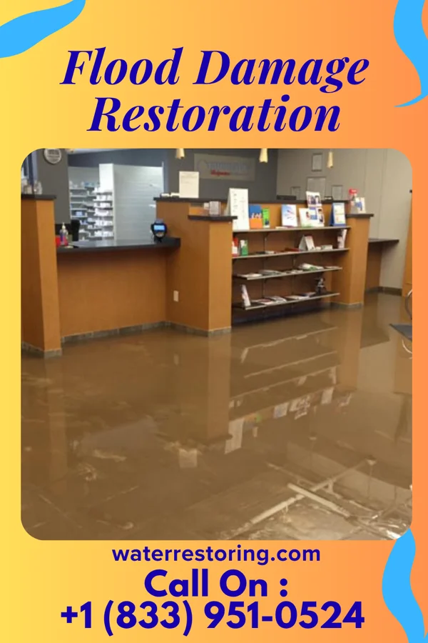 Flood Damage Restoration in Leisure Village West, NJ