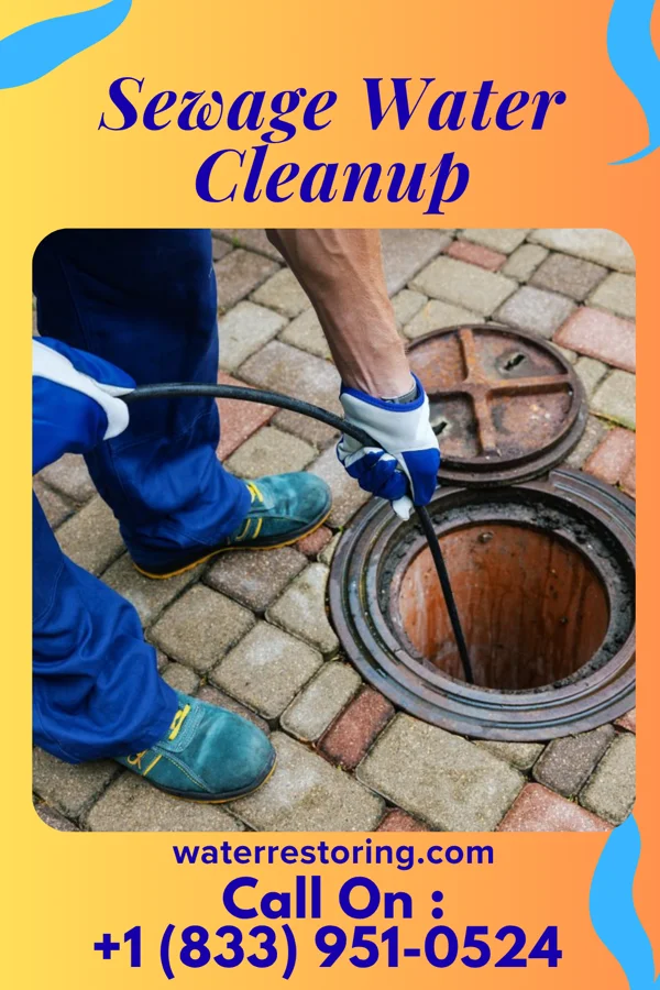 Sewage Water Cleanup in Leisure Village West, NJ