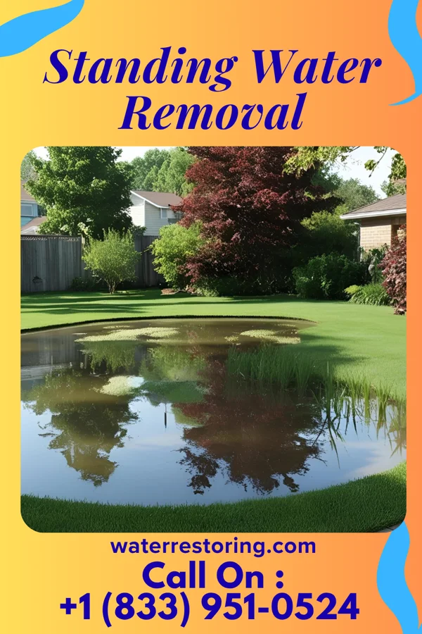Standing Water Removal in Leisure Village West, NJ